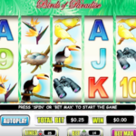 Birds Of Paradise Slot