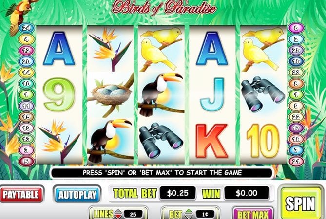 Birds Of Paradise Slot