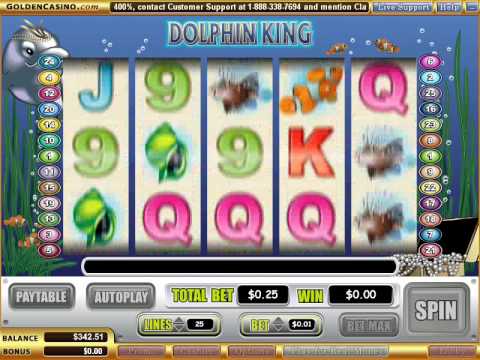 dolphin king slots
