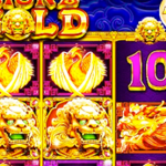5 Lions Gold Slots Review Pragmatic Play