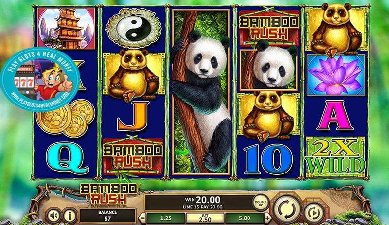 Bamboo Rush Slots Review BetSoft