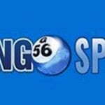 BingoSpirit Casino Reviews 2020 Bingo Spirit No Deposit Bonus Codes