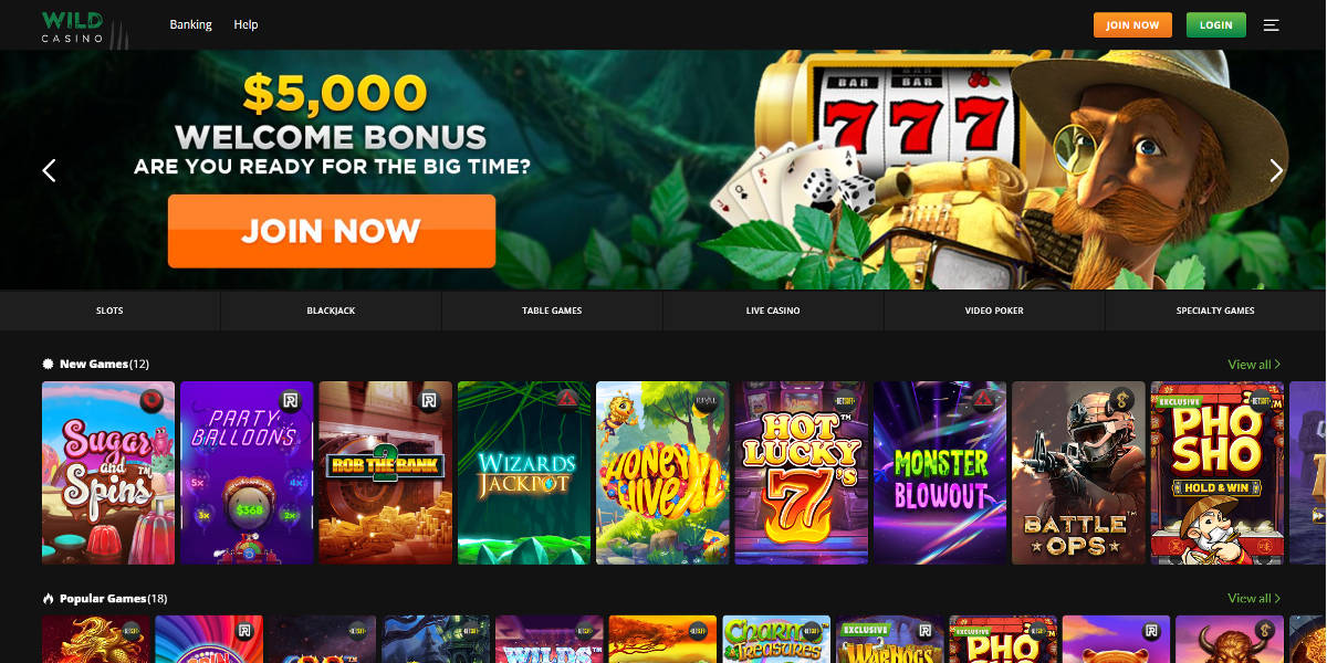 Wild Casino Screenshots - Front Page