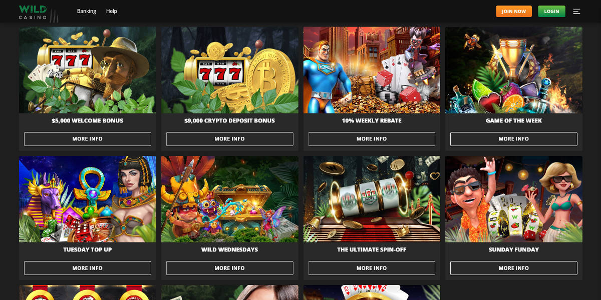 Wild Casino Screenshots - Offers