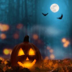 Pumpkin Symbol