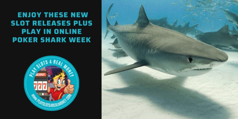 Enjoy These NEW Slot Releases Plus Play In Online Poker Shark Week