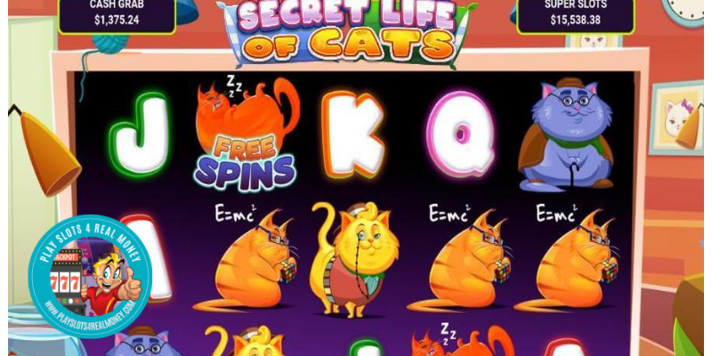 Secret Life of Cats Slot Review, RTP% & Bonuses By Arrows Edge