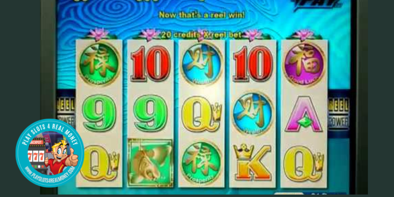 5 Koi Slots Review, RTP% & Bonuses By Aristocrat Gaming