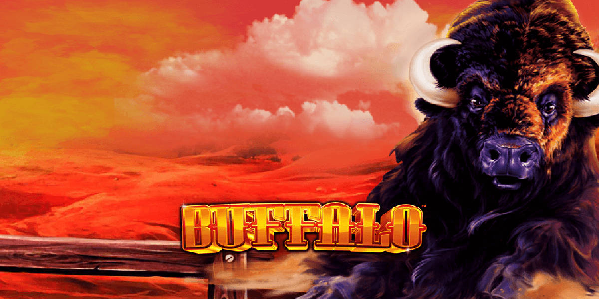 Buffalo Slot Theme