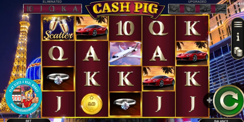 Cash Pig