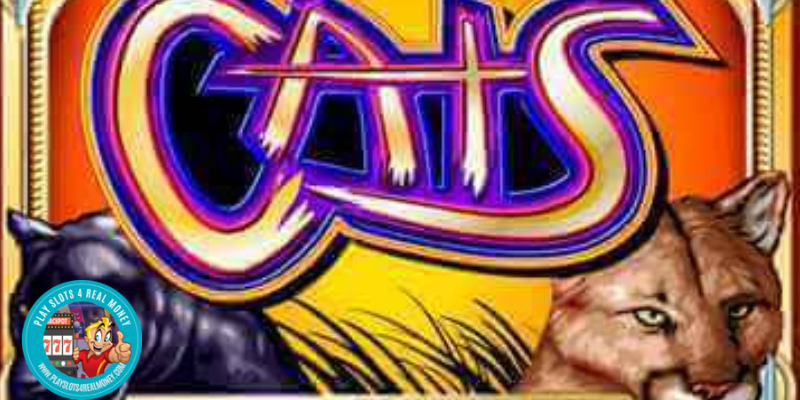 Cats Slot