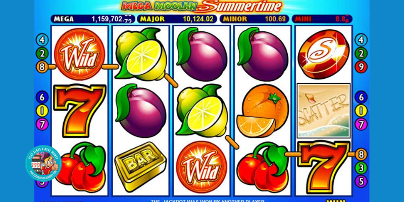 Mega Moolah Summertime Slot Review