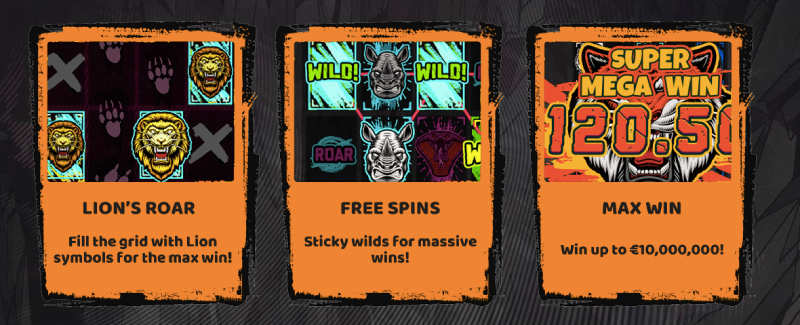 Free Spins Features
