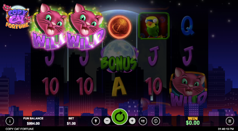 Copy Cat Fortune Slots Review By Realtime Gaming