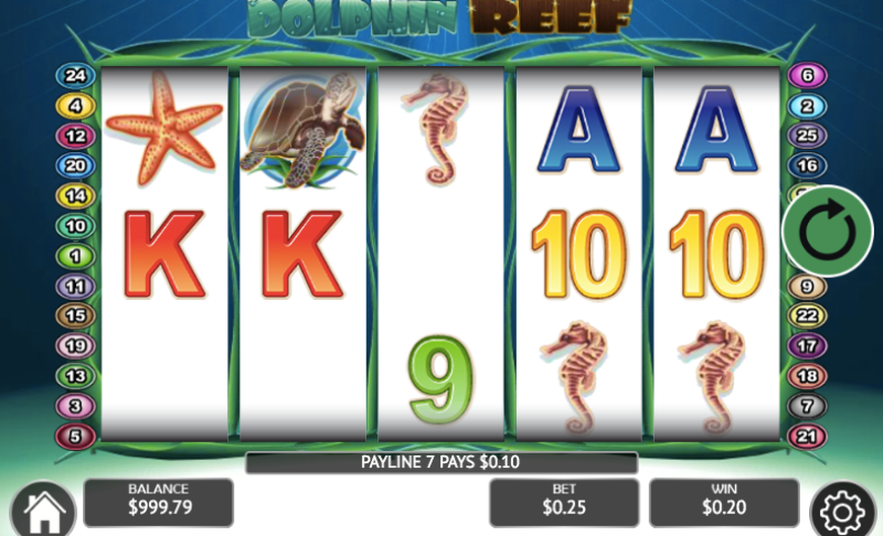Dolphin Reef Slot