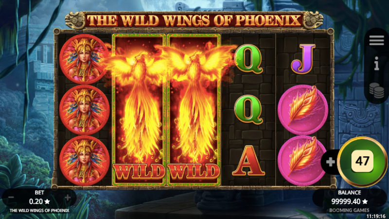 The Wild Wings of Phoenix