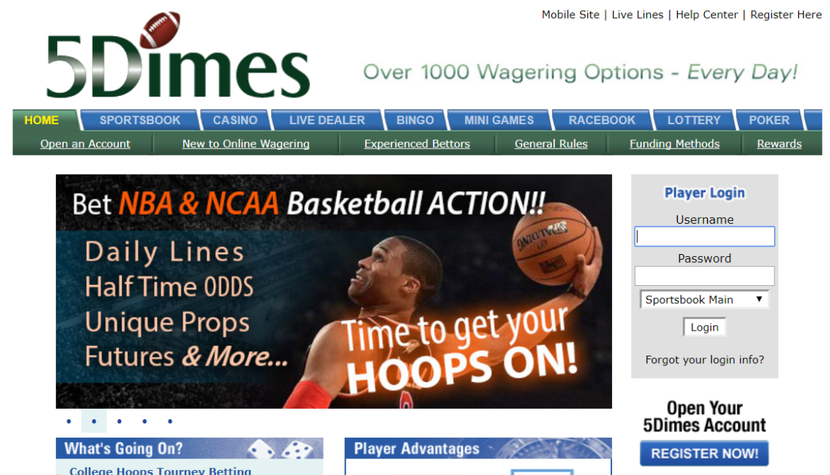 5Dimes Review & No Deposit Bonus Codes