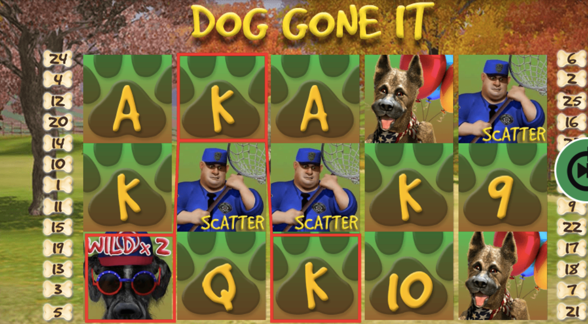 Dog Gone It